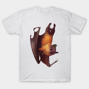 Cozy Large Flying Fox T-Shirt